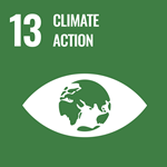 number 13, climate action