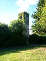 Image of historical building from afar, with trees covering half of the building. Green grass and blue sky.